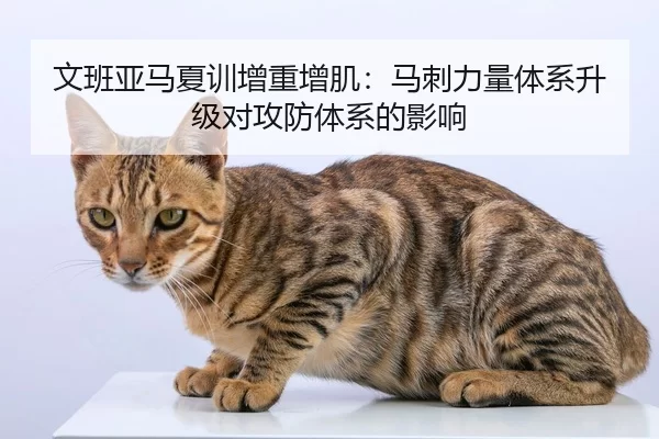 wen-ban-ya-ma-xia-xun-zeng-zhong-zeng-ji-ma-ci-li-liang-ti-xi-sheng-ji-dui-gong-fang-ti-xi-de-ying-xiang-3-921.jpg